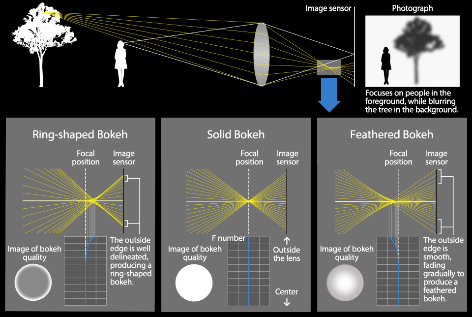 Olympus M.Zuiko Digital ED 17mm f/1.2 PRO by  in  - EC MALL