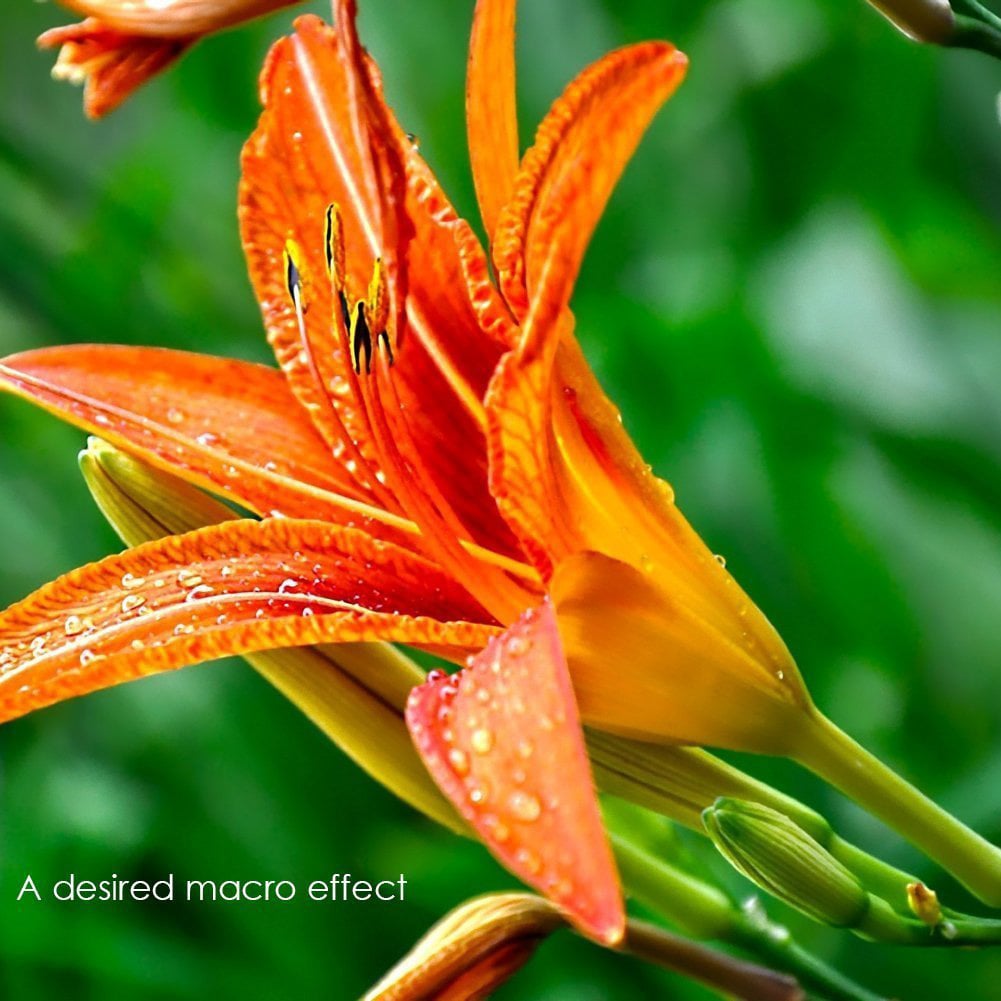 Viltrox Sony DG-NEX Automatic Macro Extension Tube Set by  in  - EC MALL