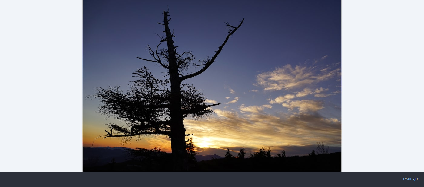 Sony FE PZ 28-135mm f/4 G OSS by  in  - EC MALL