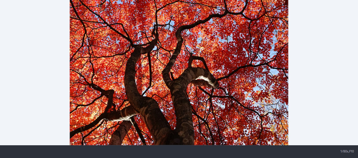 Sony FE PZ 28-135mm f/4 G OSS by  in  - EC MALL