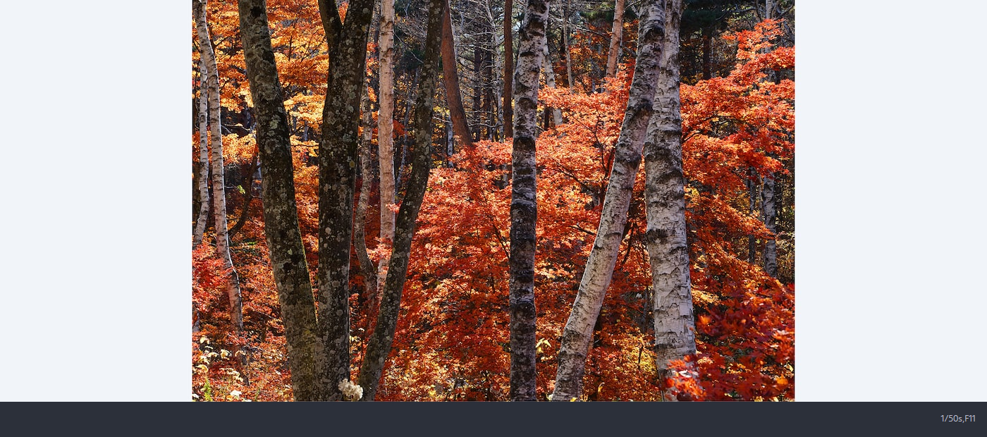 Sony FE PZ 28-135mm f/4 G OSS by  in  - EC MALL