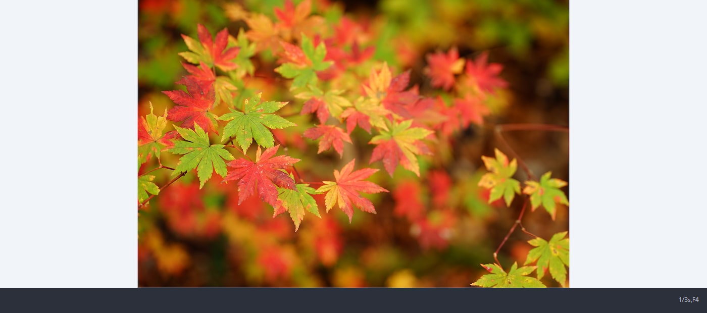 Sony FE PZ 28-135mm f/4 G OSS by  in  - EC MALL