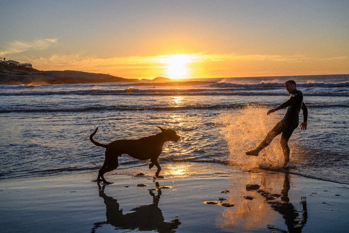 Nikon NIKKOR Z 24-70mm f/2.8 S by  in  - EC MALL