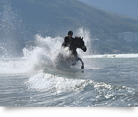 Nikon NIKKOR Z 24-70mm f/2.8 S by  in  - EC MALL