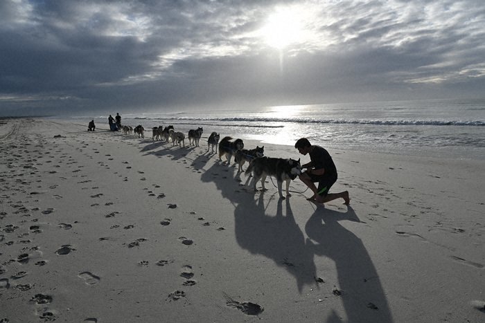 Nikon NIKKOR Z 24-70mm f/2.8 S by  in  - EC MALL