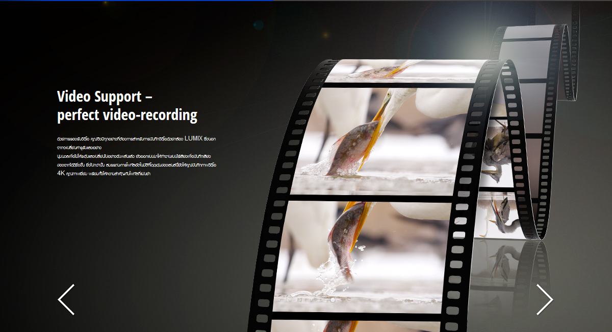 Panasonic Leica DG Vario-Elmarit 50-200mm f/2.8-4 ASPH. POWER O.I.S. by  in  - EC MALL