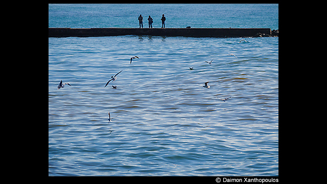 Panasonic Leica DG Vario-Elmarit 50-200mm f/2.8-4 ASPH. POWER O.I.S. by in - EC MALL