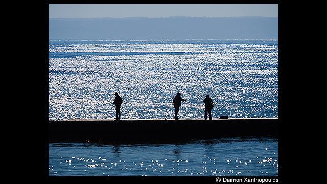 Panasonic Leica DG Vario-Elmarit 50-200mm f/2.8-4 ASPH. POWER O.I.S. by in - EC MALL