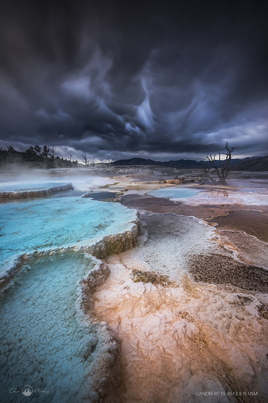 Canon RF 15-35mm f/2.8L IS USM Lens by  in  - EC MALL