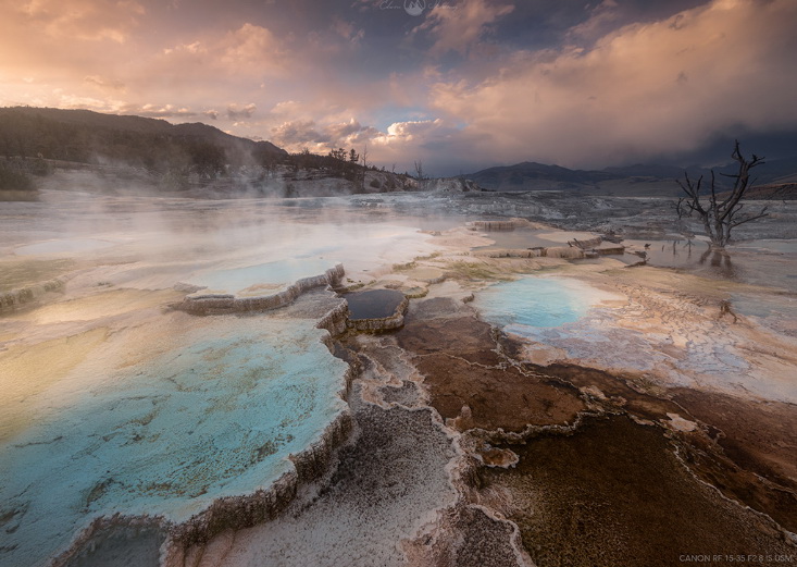 Canon RF 15-35mm f/2.8L IS USM Lens by  in  - EC MALL