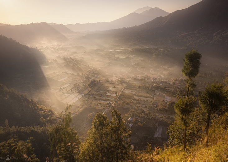 Canon RF 15-35mm f/2.8L IS USM Lens by  in  - EC MALL