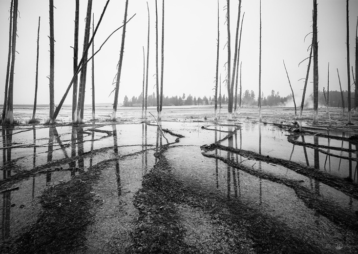 Canon RF 15-35mm f/2.8L IS USM Lens by  in  - EC MALL