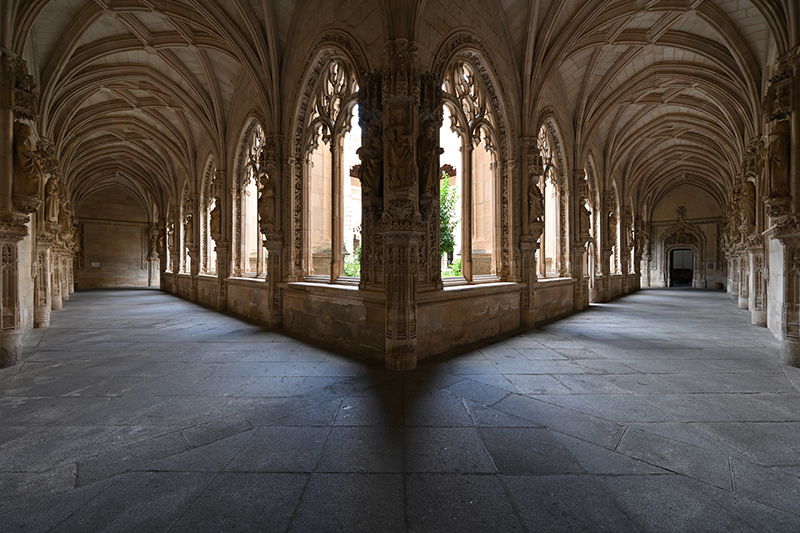 Nikon NIKKOR Z 14-30mm f/4 S Lens by  in  - EC MALL