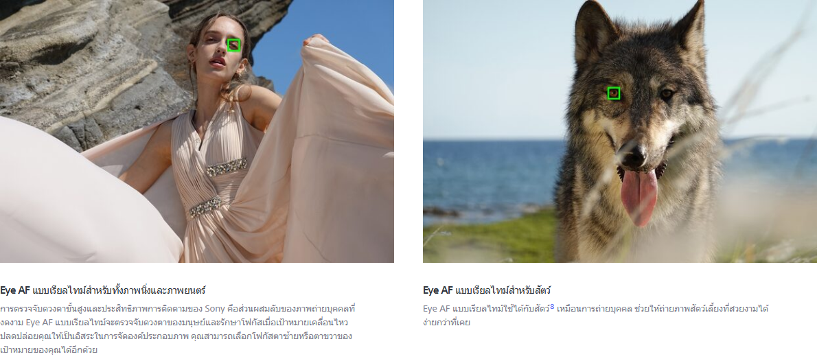 Sony Cyber-shot DSC-RX100 VII by  in  - EC MALL