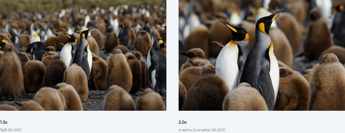 Sony Teleconverter 2X (SEL20TC) by  in  - EC MALL