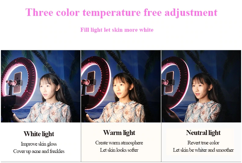 LED Ring Light QZSD RL-12 Size 14 inch With Stand by  in  - EC MALL