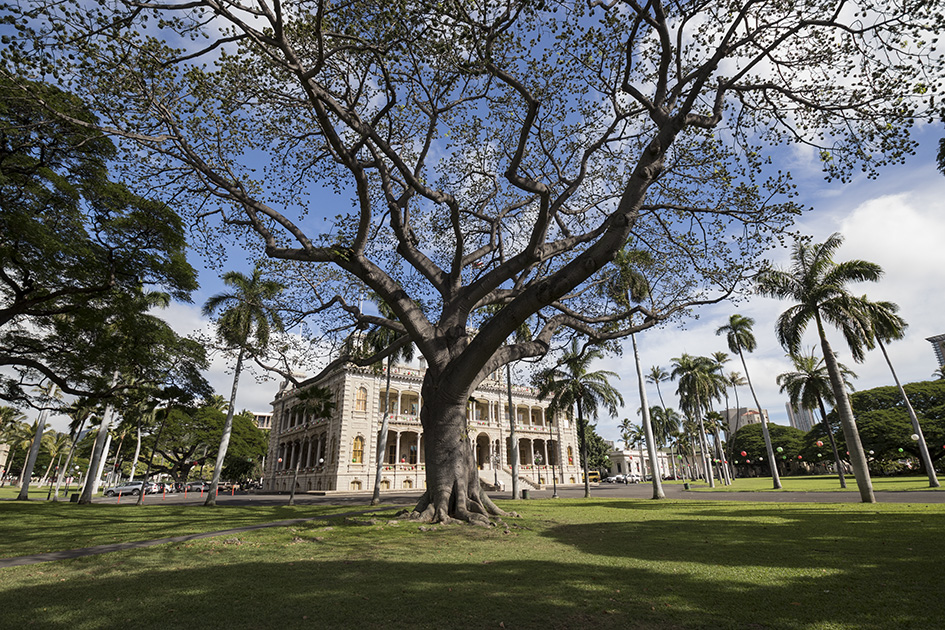 Tamron 10-24mm f/3.5-4.5 Di II VC HLD Lens by  in  - EC MALL