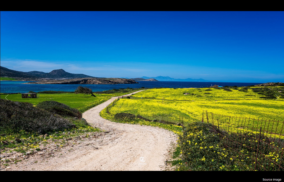 Tokina Opera 16-28mm f/2.8 FF by  in  - EC MALL