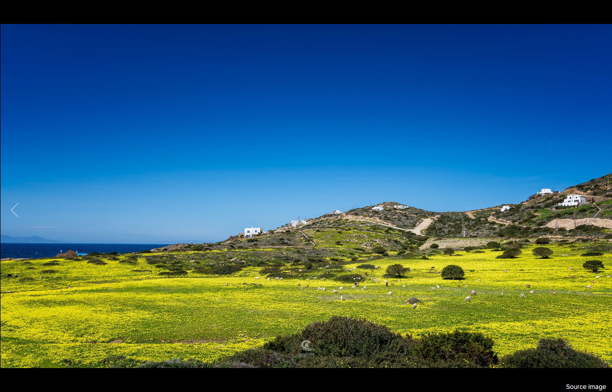 Tokina Opera 16-28mm f/2.8 FF by  in  - EC MALL