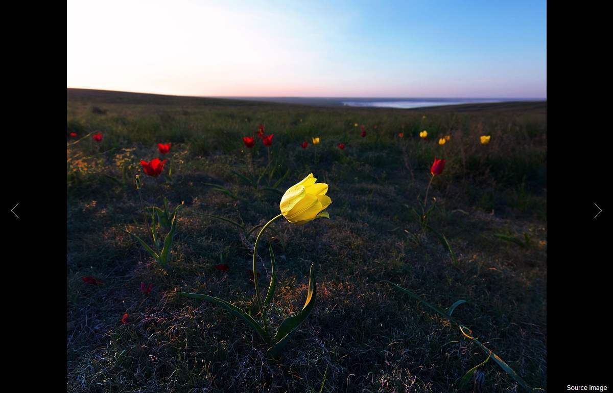 Tokina Opera 16-28mm f/2.8 FF by  in  - EC MALL