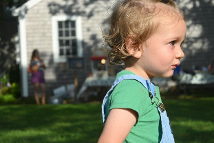 Nikon NIKKOR Z DX 16-50mm f/3.5-6.3 VR Lens by  in  - EC MALL