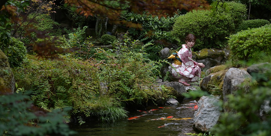 Nikon NIKKOR Z DX 50-250mm f/4.5-6.3 VR by  in  - EC MALL