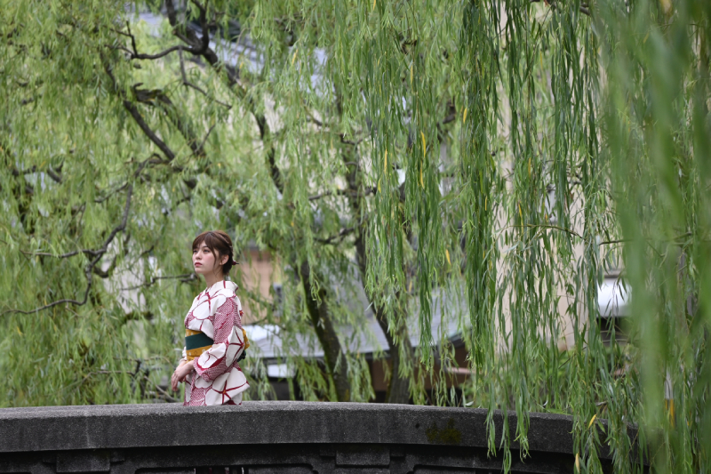 Nikon NIKKOR Z DX 50-250mm f/4.5-6.3 VR by  in  - EC MALL