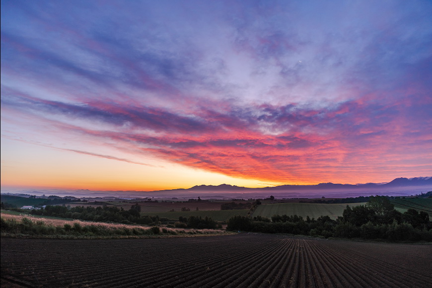 Tamron 20mm f/2.8 Di III OSD M1:2 (Model F050) Lens by  in  - EC MALL