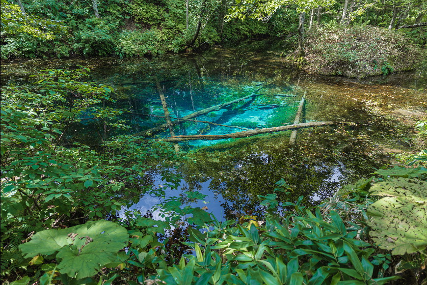 Tamron 20mm f/2.8 Di III OSD M1:2 (Model F050) Lens by  in  - EC MALL