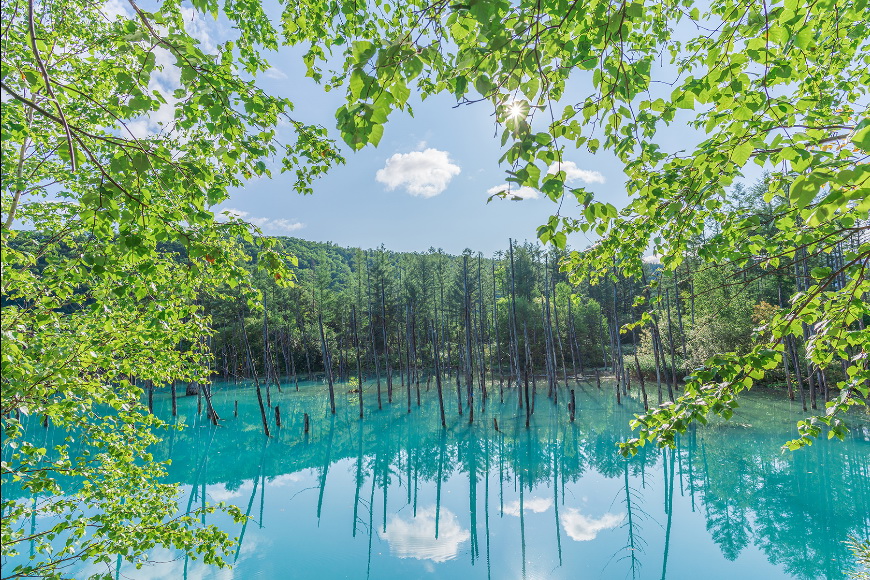 Tamron 20mm f/2.8 Di III OSD M1:2 (Model F050) Lens by  in  - EC MALL