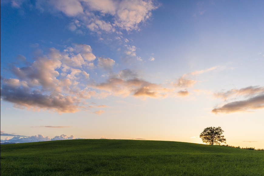 Tamron 20mm f/2.8 Di III OSD M1:2 (Model F050) Lens by  in  - EC MALL