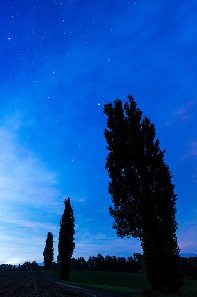 Tamron 20mm f/2.8 Di III OSD M1:2 (Model F050) Lens by  in  - EC MALL