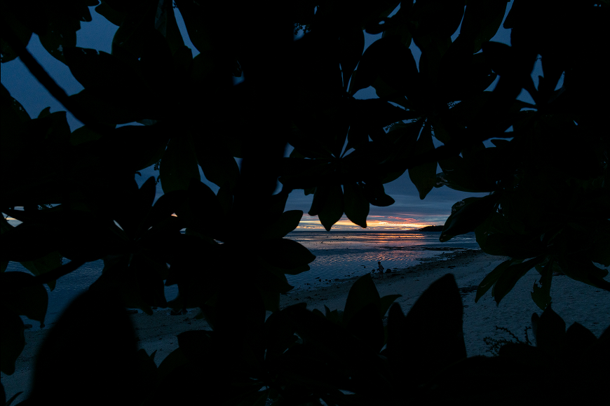 Tamron 24mm f/2.8 Di III OSD M1:2 (Model F051) Lens by  in  - EC MALL