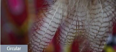 Sony E 16-55mm f/2.8 G Lens by  in  - EC MALL