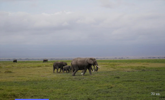 Sony E 70-350mm f/4.5-6.3 G OSS by  in  - EC MALL