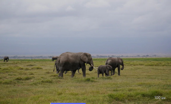 Sony E 70-350mm f/4.5-6.3 G OSS by  in  - EC MALL