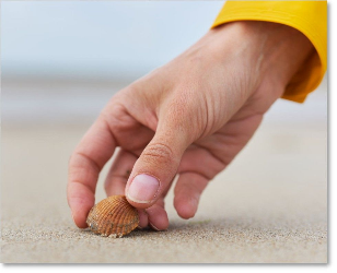 ZEISS Batis 40mm f/2 CF by  in  - EC MALL