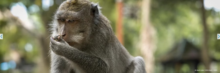 ZEISS Batis 85mm f/1.8 by  in  - EC MALL