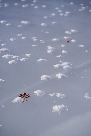 Fujifilm Fujinon XC 35mm f/2 by  in  - EC MALL