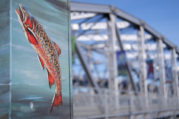 Fujifilm Fujinon XC 35mm f/2 by  in  - EC MALL