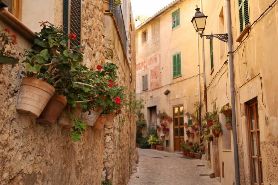 Canon RF 24-105mm f/4-7.1 IS STM Lens by  in  - EC MALL