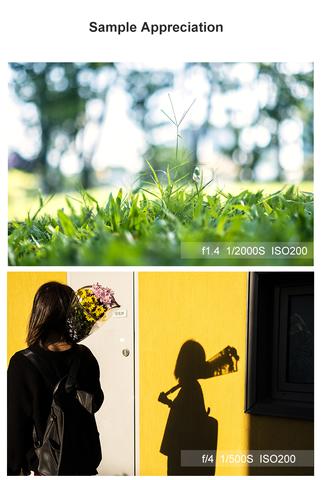 Viltrox AF 33mm f/1.4 by in - EC MALL