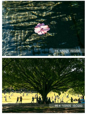 Viltrox AF 33mm f/1.4 by in - EC MALL