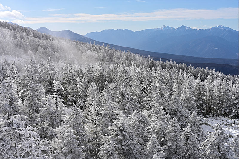 Nikon NIKKOR Z 58mm f/0.95 S Noct by  in  - EC MALL