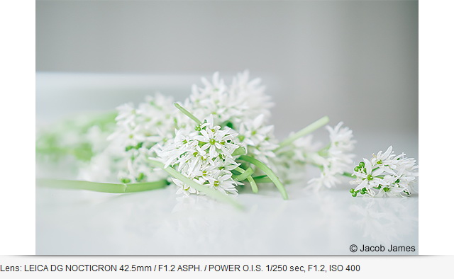 Panasonic Lumix DC-G100 (Clearance Sale มีจำนวนจำกัด) by  in  - EC MALL