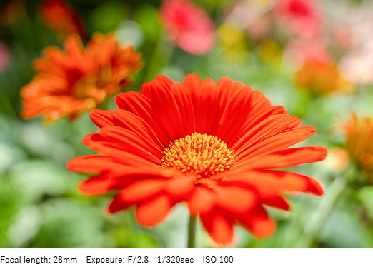 Tamron 28-200mm f/2.8-5.6 Di III RXD (Model A071) For Sony E by  in  - EC MALL