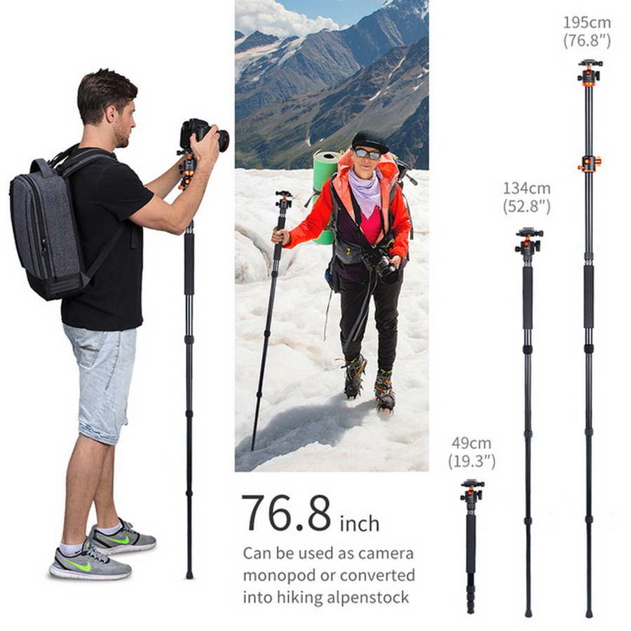 K&F Concept T254A4+BH-28L Aluminium Tripod Kit by  in  - EC MALL