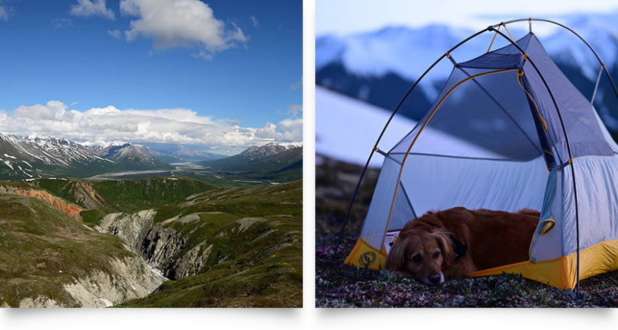 Nikon Z5 by  in  - EC MALL