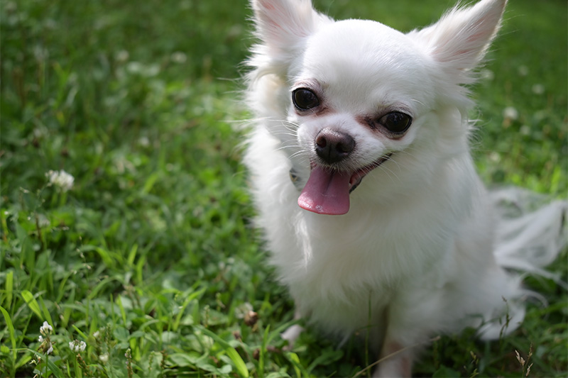 Nikon Z5 by  in  - EC MALL