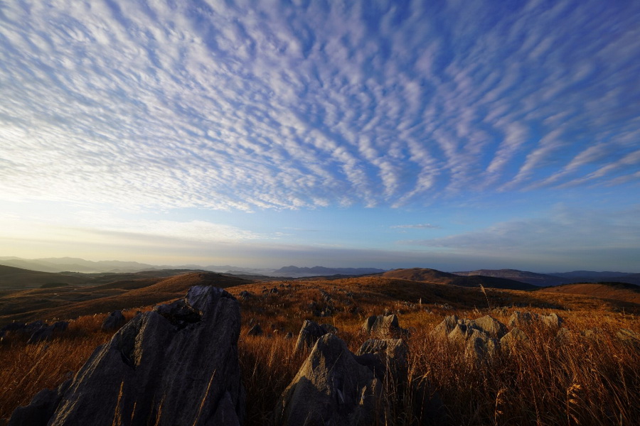 Sony FE 12-24mm f/2.8 GM by  in  - EC MALL